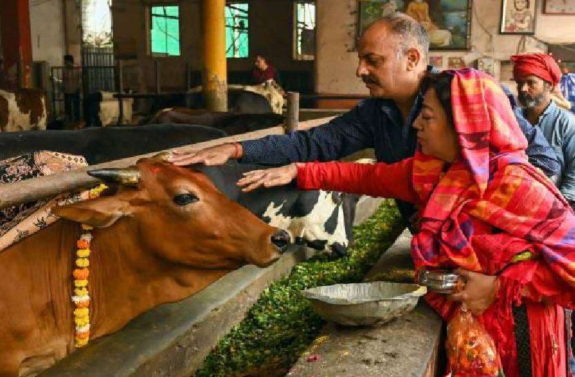 gay_ki_seva.jpg