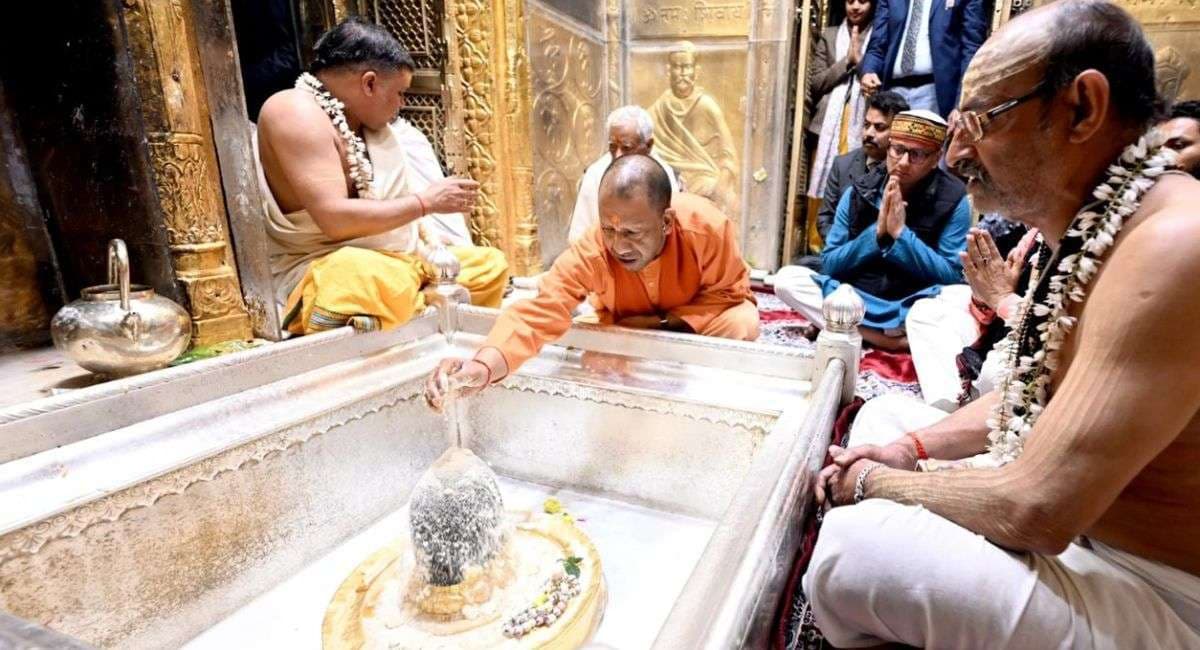 cm_yogi_1.jpg