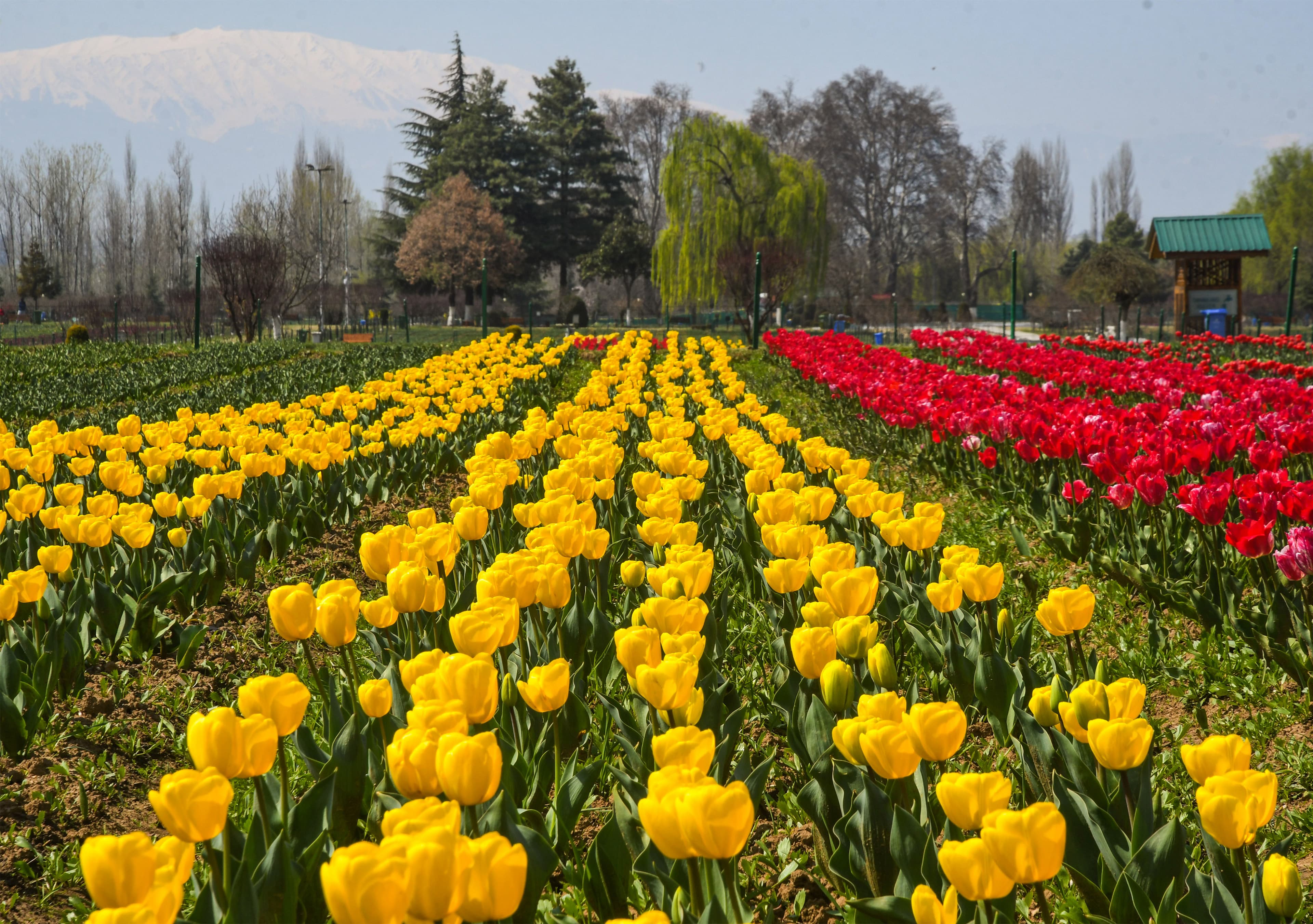  jammu kashmir 