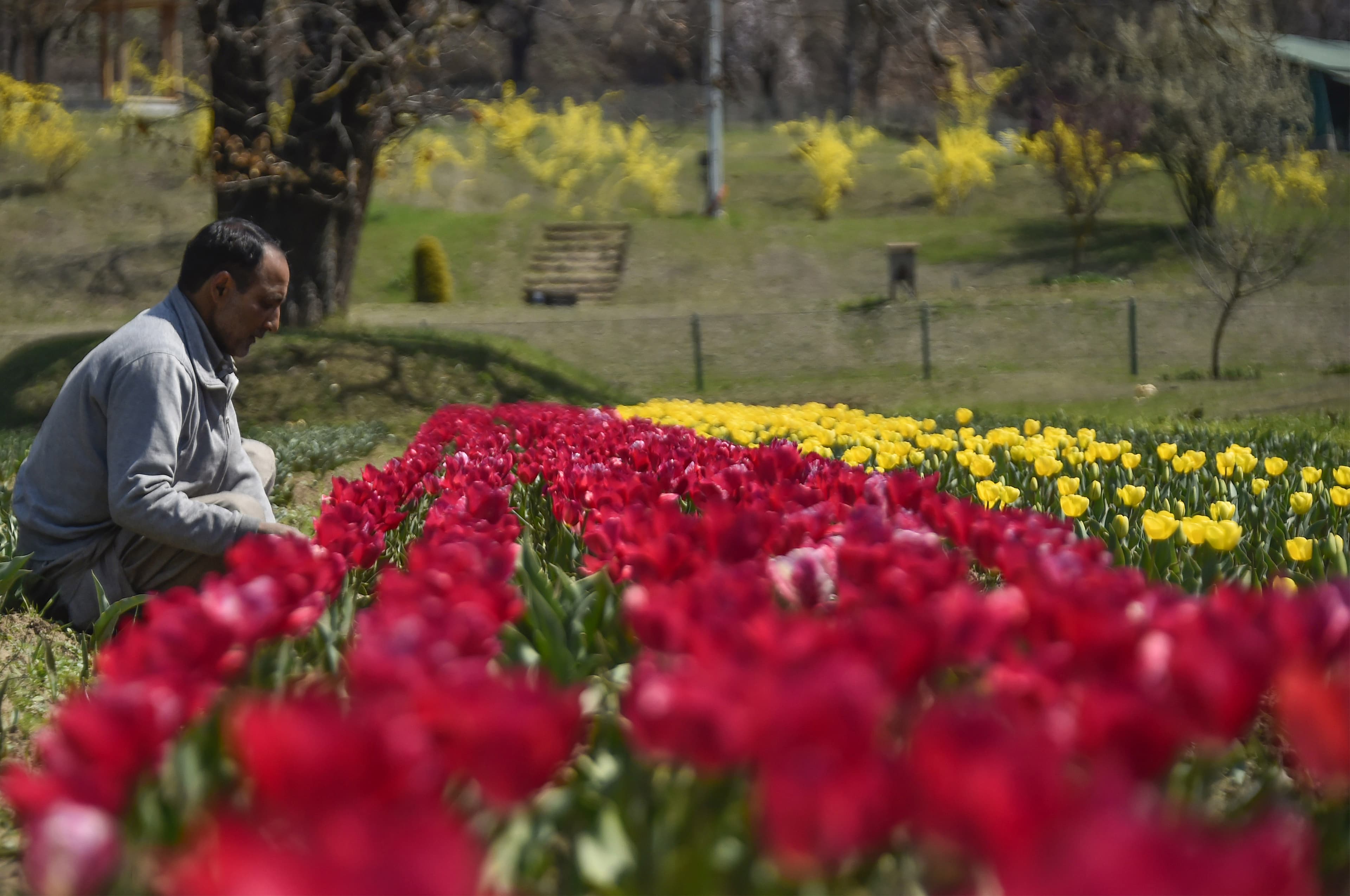  jammu kashmir 