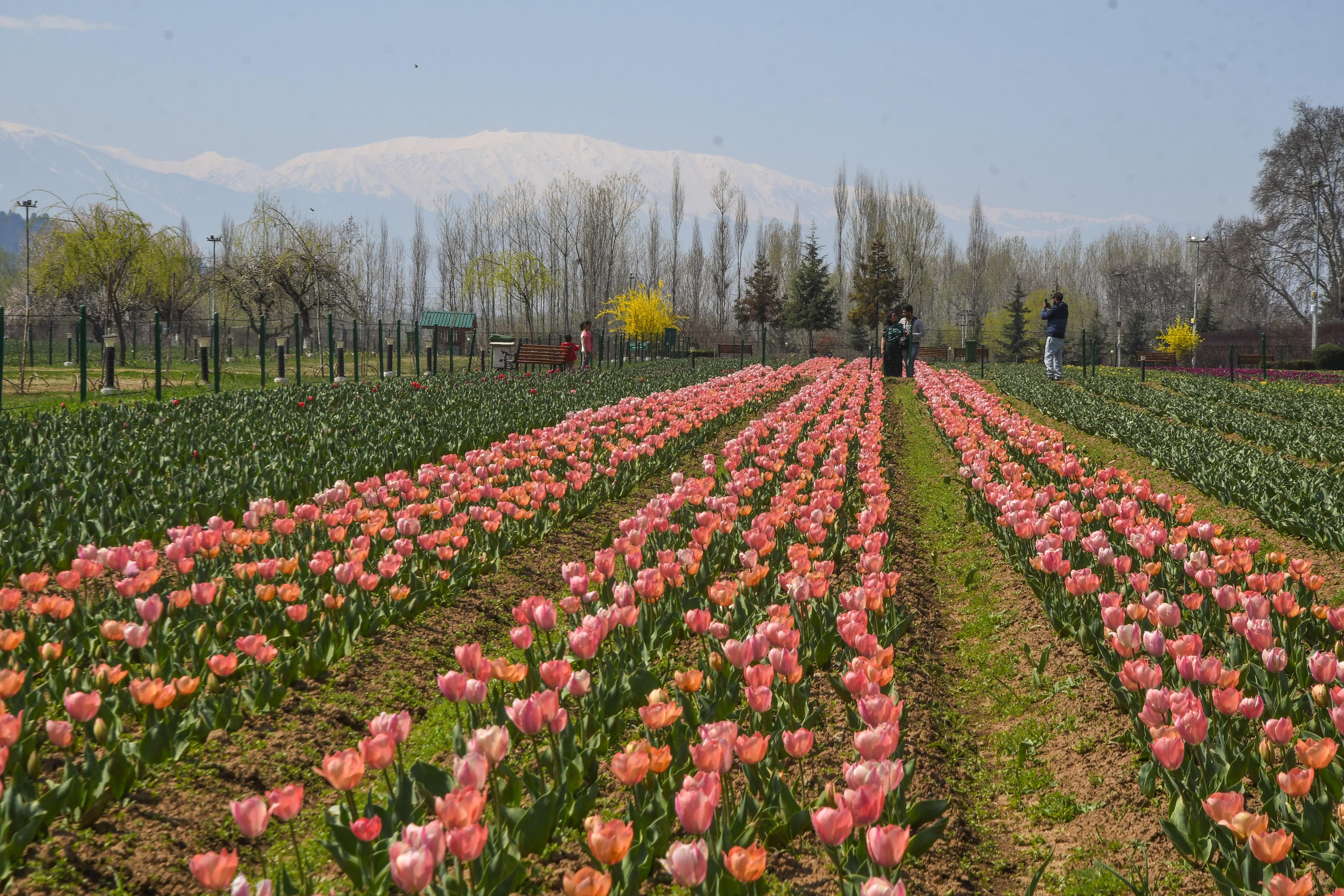  jammu kashmir 