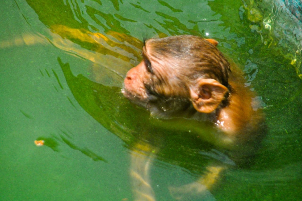 Galata ji janana kund