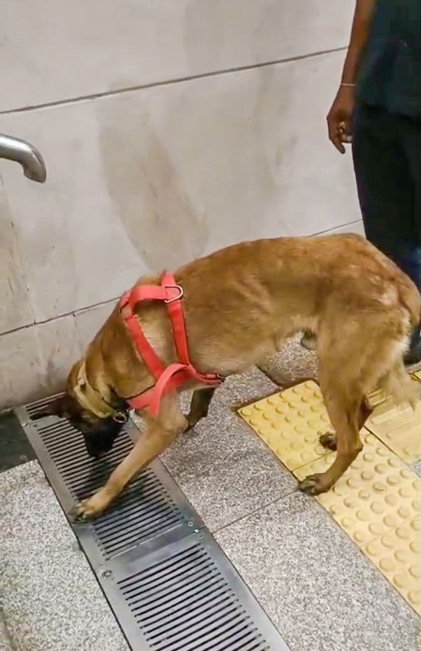 Search opration at jaipur metro