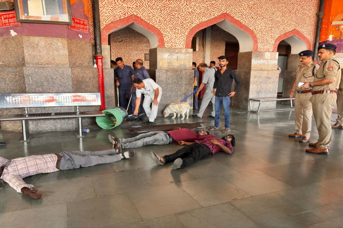 Lucknow Alert  