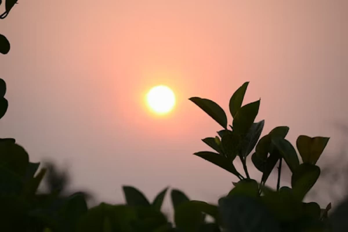 Weather Update: भीषण गर्मी के बीच राहत भरी खबर! इन जिलों में हो सकती है बारिश, येलो अलर्ट जारी