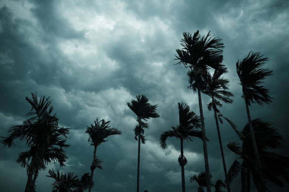 CG Monsoon 2025: 22 जिलों में आंधी-बारिश का यलो अलर्ट जारी, गरज-चमक के साथ चलेंगी तेज हवाएं, देखें ताजा Update
