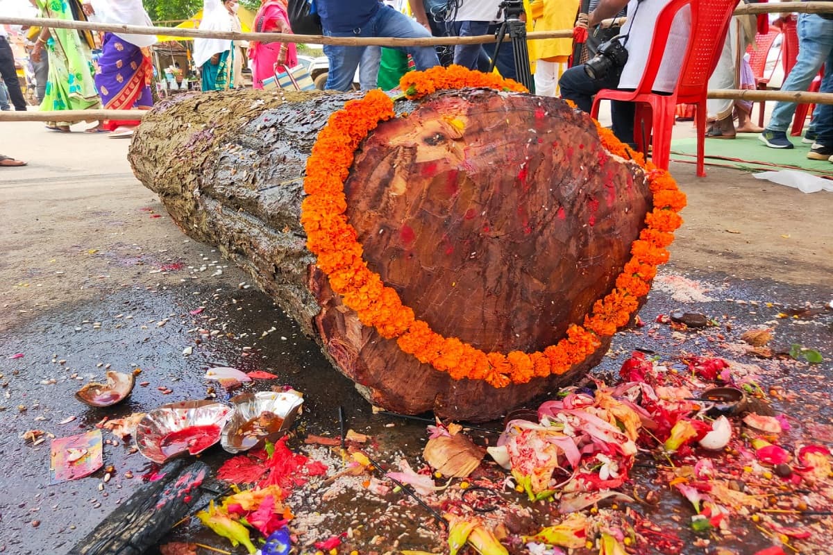 Hareli Amavasya
