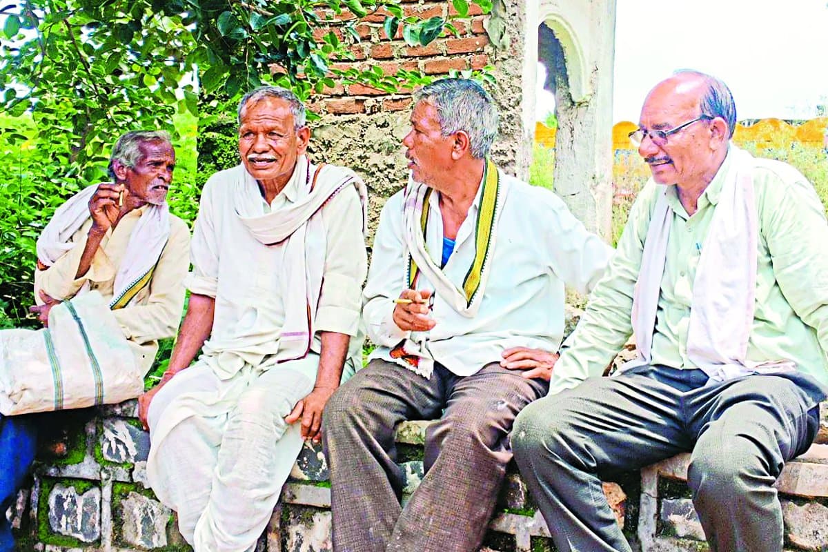 Fertilizer crisis