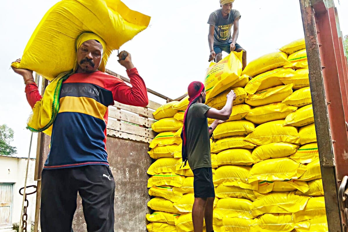 Fertilizer crisis