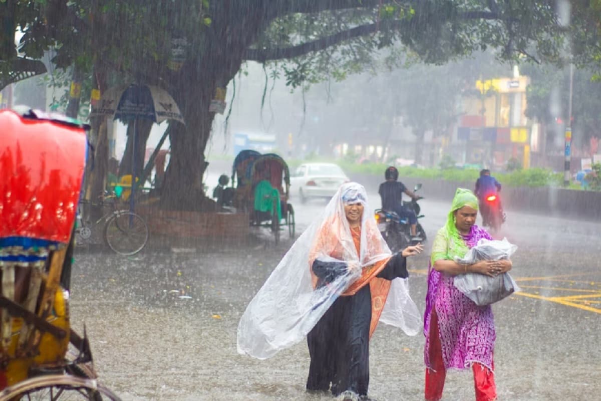Health Alert: सावधान। कई बीमारियां लेकर आता है बरसात का मौसम, बचने के लिए छत्तीसगढ़ के डॉक्टर से जानें उपाय
