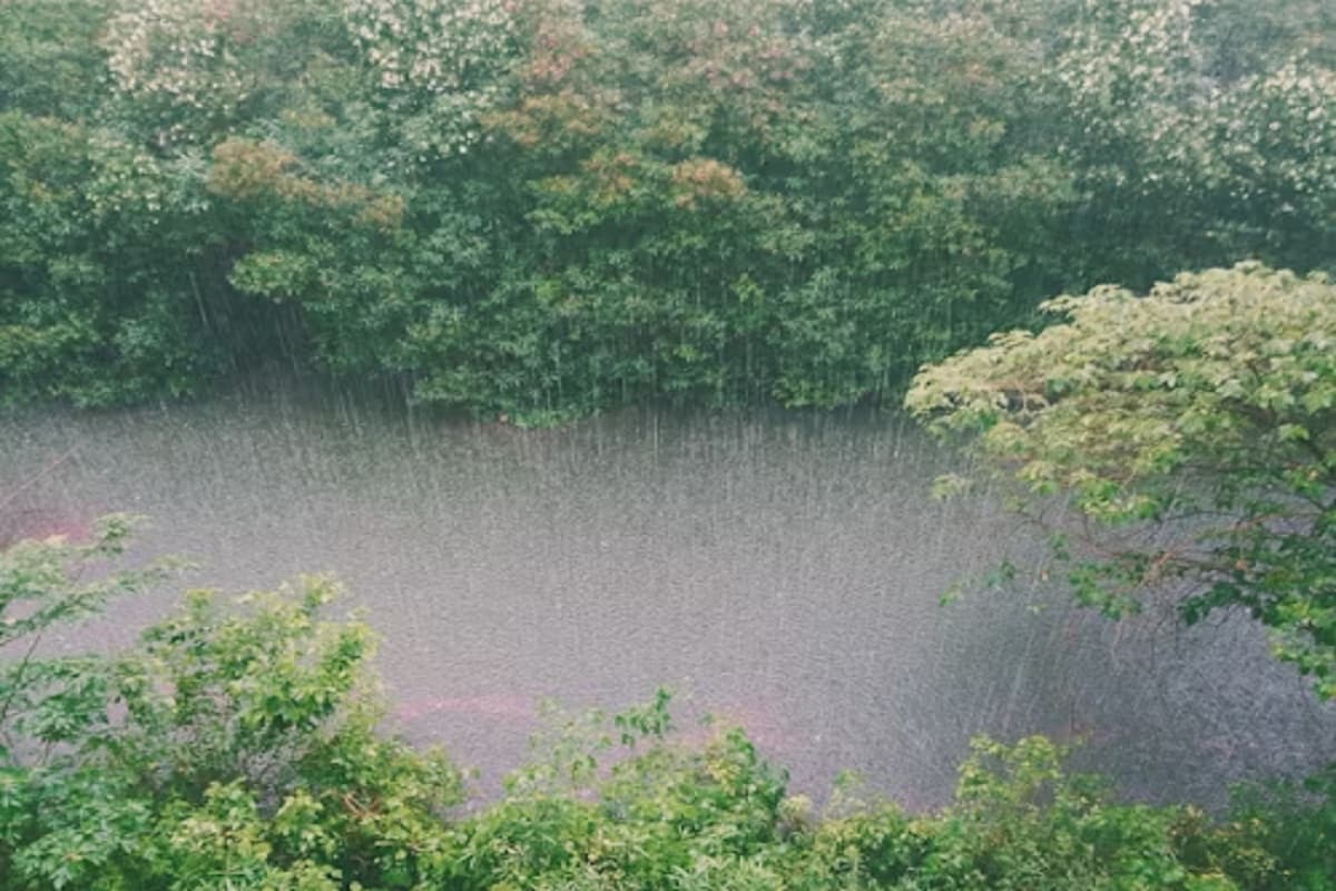 हल्की से मध्यम वर्षा की संभावना (फोटो सोर्स- unsplash)