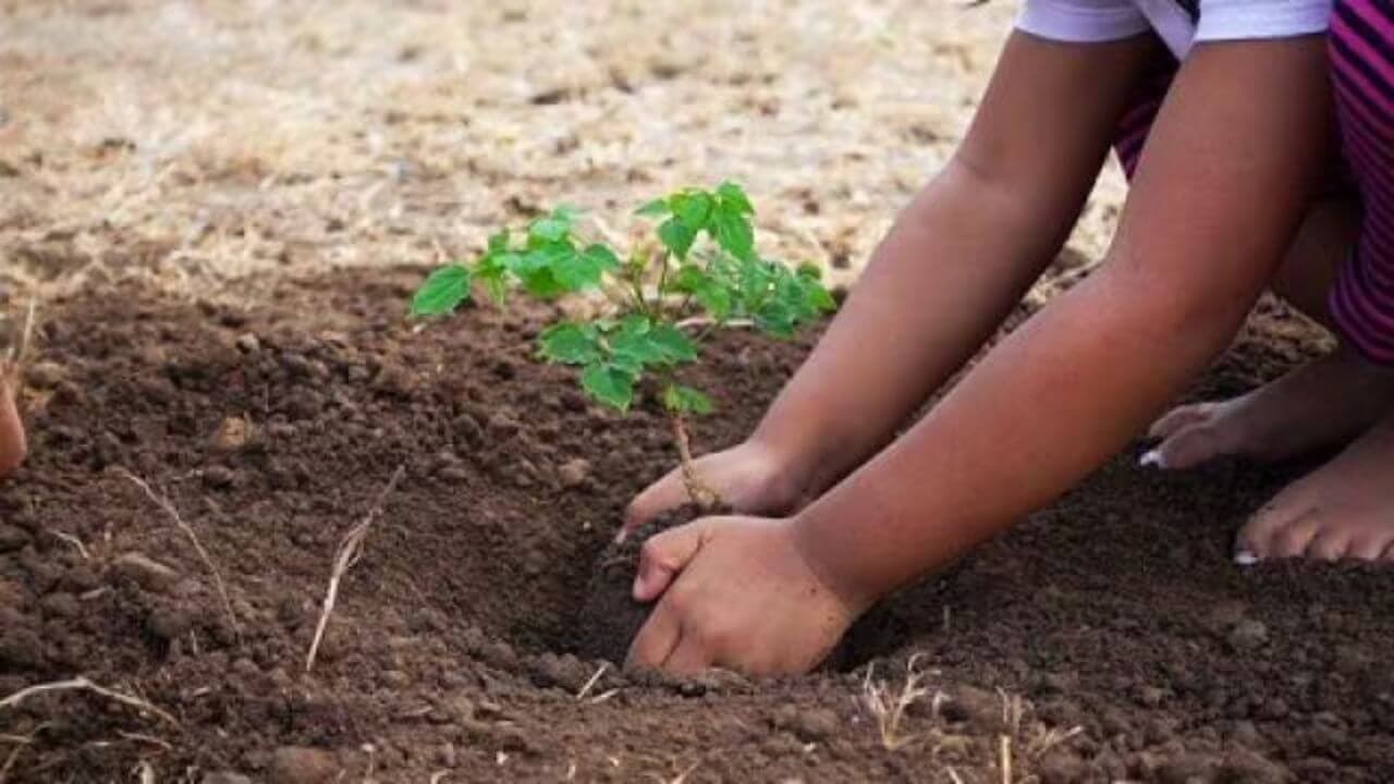 CG News: एक पेड़ माँ के नाम अभियान पर्यावरण संरक्षण का प्रतीक, मंत्री केदार कश्यप ने रोपे पौधे, देखें तस्वीरें 
