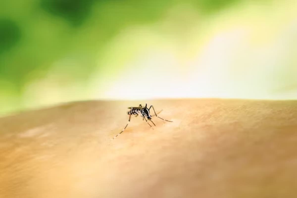 Health Alert: सावधान। कई बीमारियां लेकर आता है बरसात का मौसम, बचने के लिए छत्तीसगढ़ के डॉक्टर से जानें उपाय

