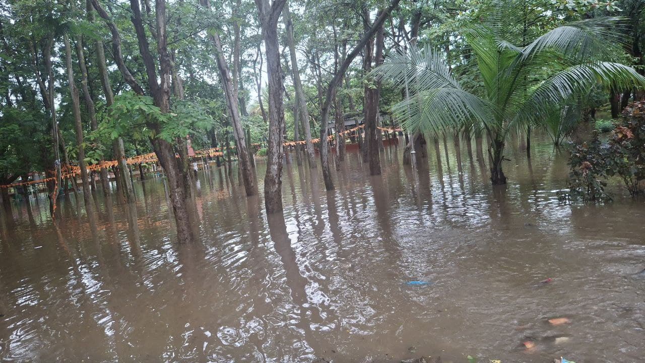 CG News: रायपुर कई इलाकों में जलभराव, सड़क पर उतरे आक्रोशित लोग, देखें तस्वीरें
