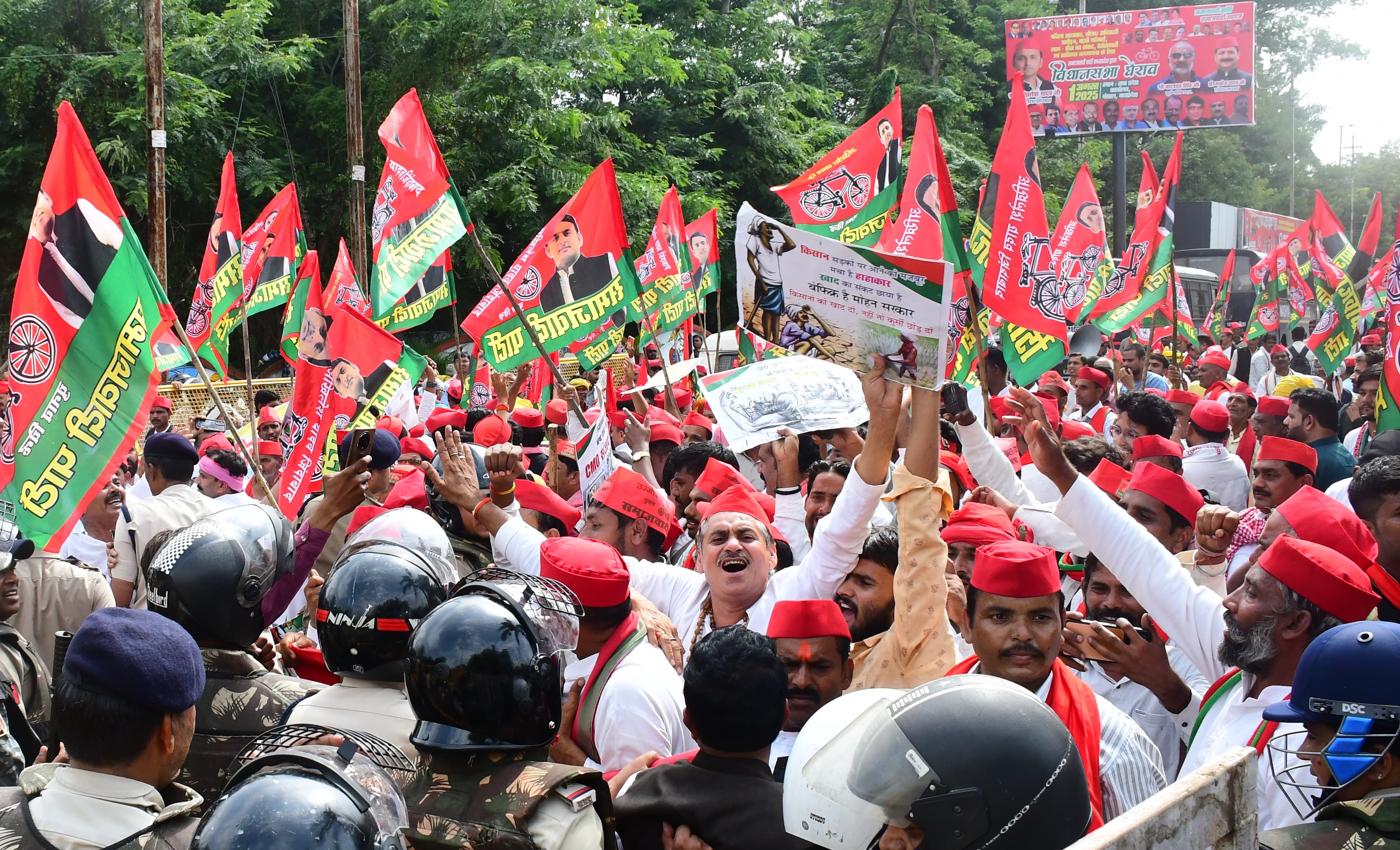 mp news